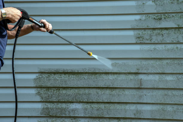 Best Gutter Cleaning  in Santa Cruz, CA